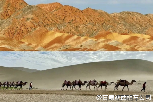 包車司機能幫忙訂團餐嗎？  