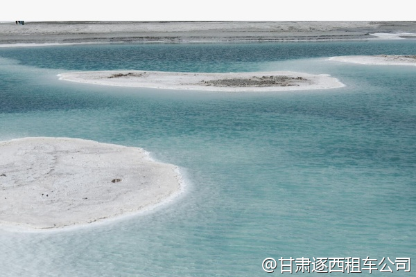 從蘭州包車到太極島，鳥多嗎？  