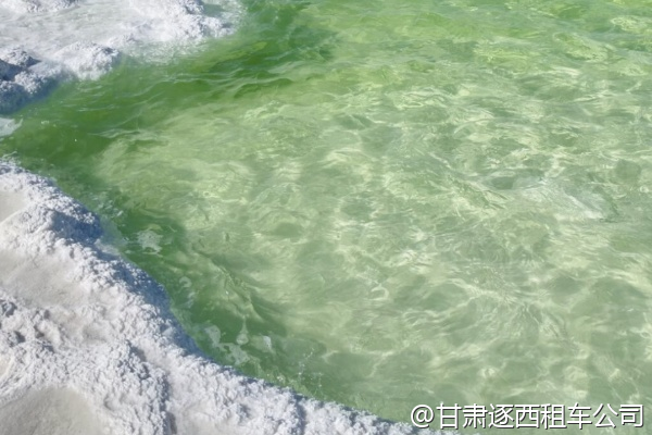從蘭州包車到葛支山，云海好看嗎？  